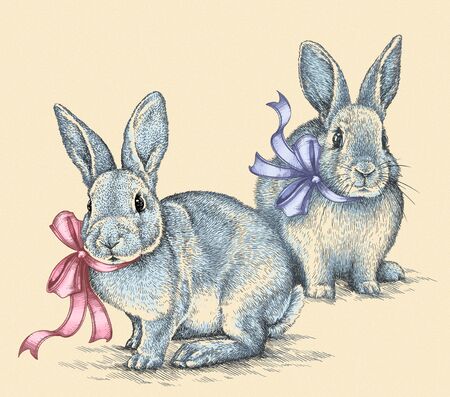 Easter rabbit bunny engrave illustration vintage graphicの写真素材