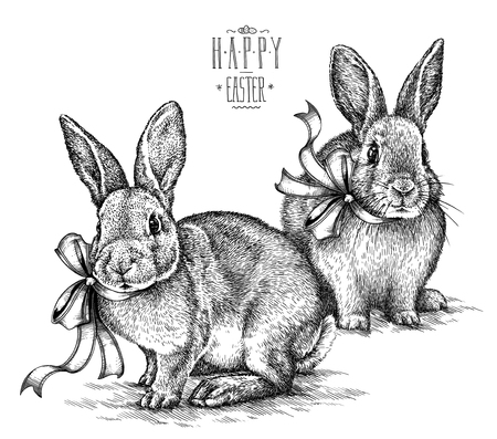 Easter rabbit bunny engrave illustration vintage graphicの写真素材