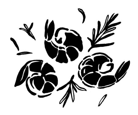 Shrimp, prawn. Seafood, rosemary, greens, parsley. Ink hand drawing. Food, vegetables and fruit isolated on white background. Book illustration, recipe, menu, magazine or journal article.の写真素材