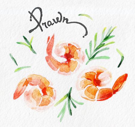 Shrimp, prawn. Seafood, rosemary, greens, parsley. Watercolor hand drawing. Food, vegetables and fruit isolated on white background. Book illustration, recipe, menu, magazine or journal article.の写真素材