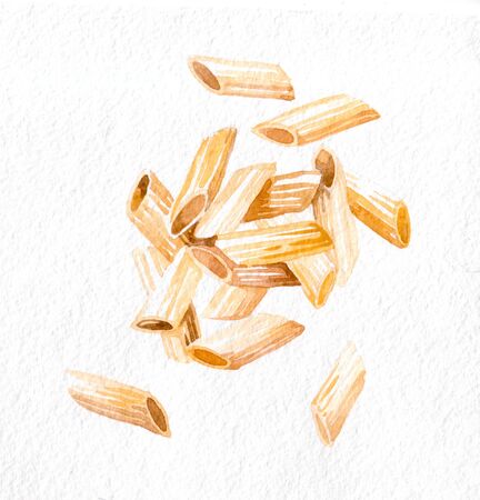 Pasta. Penne. Watercolor hand drawing. Food, vegetables and fruit isolated on white background. Book illustration, recipe, menu, magazine or journal article.の写真素材
