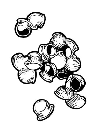 Pasta. Pipe rigate. Ink hand drawing. Black and white. Food, vegetables and fruit isolated on white background. Book illustration, recipe, menu, magazine or journal article.の写真素材