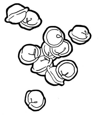 Dumplings in a pot. Ink hand drawing. Food, vegetables and fruit isolated on white background. Book illustration, recipe, menu, magazine or journal article.の写真素材