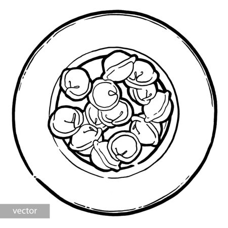 Dumplings on a plate. Ink hand drawing. Food, vegetables and fruit isolated on white background. Book illustration, recipe, menu, magazine or journal article.のイラスト素材