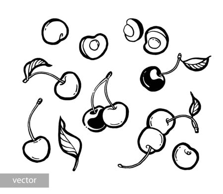 Cherry. Ink hand drawing. Black and white. Food, vegetables and fruit isolated on white background. Book illustration, recipe, menu, magazine or journal article.のイラスト素材