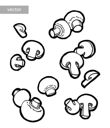 Champignons, mushroom. Ink hand drawing. Food, vegetables and fruit isolated on white background. Book illustration, recipe, menu, magazine or journal article.のイラスト素材