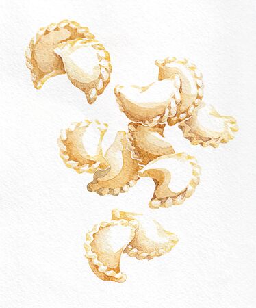 Dumplings, vareniki. Watercolor hand drawing. Food, vegetables and fruit isolated on white background. Book illustration, recipe, menu, magazine or journal article.の写真素材