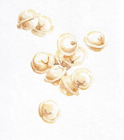 Dumplings. Watercolor hand drawing. Food, vegetables and fruit isolated on white background. Book illustration, recipe, menu, magazine or journal article.の写真素材