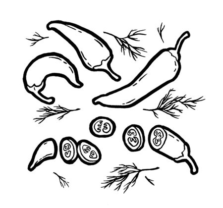 Hot red chili peppers. Ink hand drawing. Food, vegetables and fruit isolated on white background. Book illustration, recipe, menu, magazine or journal article.の写真素材