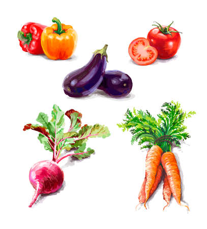 Vegetable set. Pepper, beetroot, tomato, eggplant, blob. Harvest and Thanksgiving fruit of nature, food collection for restaurants, menus, posters and grocery bags. Graphics and colorの写真素材