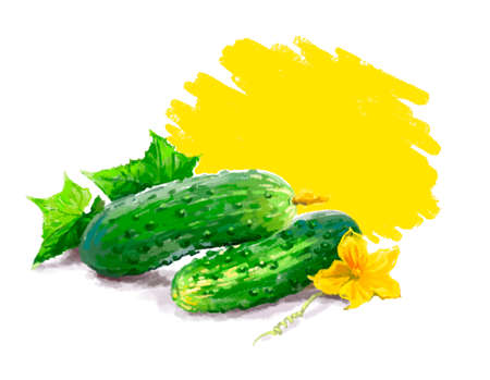 Vegetable set. Onion, radish, cucumber, blot. Harvest and Thanksgiving fruit of nature, food collection for restaurants, menus, posters and grocery bags. Graphics and colorの写真素材