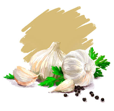 Vegetable set. Mushrooms, garlic, parsley, blob. Harvest and Thanksgiving fruit of nature, food collection for restaurants, menus, posters and grocery bags. Graphics and colorの写真素材
