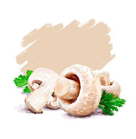 Mushrooms isolated on white and beigeの写真素材