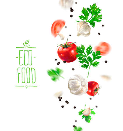 Vegetable set. Pepper, beetroot, tomato, eggplant, blob. Harvest and Thanksgiving fruit of nature, food collection for restaurants, menus, posters and grocery bags. Graphics and colorの写真素材