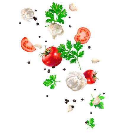 Vegetable set. Pepper, beetroot, tomato, eggplant, blob. Harvest and Thanksgiving fruit of nature, food collection for restaurants, menus, posters and grocery bags. Graphics and colorの写真素材
