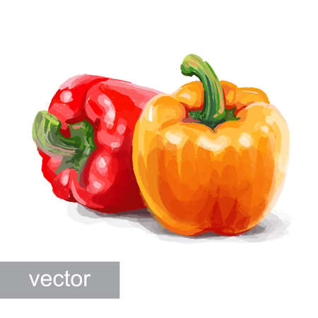 Vegetable set. Pepper, beetroot, tomato, eggplant, blob. Harvest and Thanksgiving fruit of nature, food collection for restaurants, menus, posters and grocery bags. Graphics and colorのイラスト素材