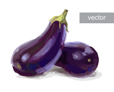 Vegetable set. Pepper, beetroot, tomato, eggplant, blob. Harvest and Thanksgiving fruit of nature, food collection for restaurants, menus, posters and grocery bags. Graphics and colorのイラスト素材