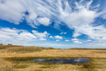 Dunes Landscape In The Netherlandsの写真素材