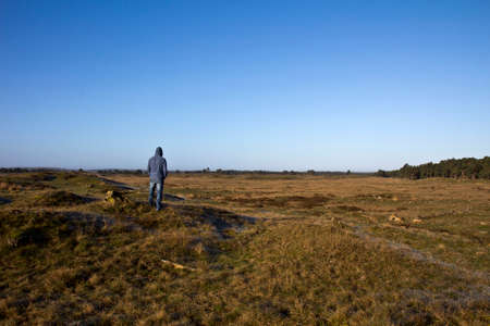 Looking over moorland under a beautiful blue sky at Hoge Veluwe national park, The Netherlands.の写真素材