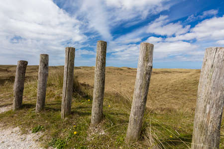 Dunes Landscape In The Netherlandsの写真素材