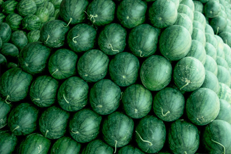 Many big sweet green watermelons.
