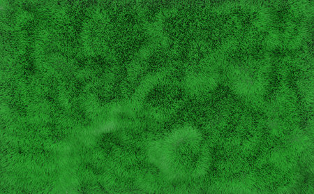 Grass background. Fresh lawn grass texture. Perfect green grass carpet. Grass backdrop for modern design. 3d rendering.の写真素材