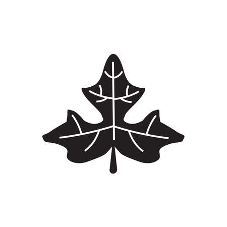 Papaya leaf logo design vector templateのイラスト素材