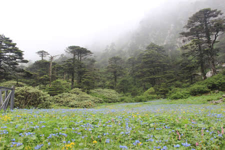 Cangshan sceneryの写真素材