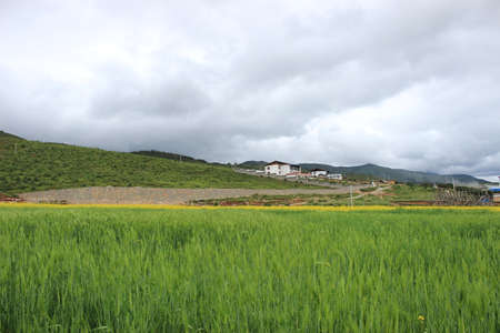 Nature sceneryの写真素材