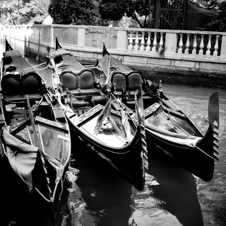 Venice, Italy  Gondolas on the Grand Canalの写真素材