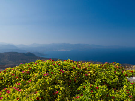 Red flowers against blue sea and sky: Crete, Greeceの写真素材