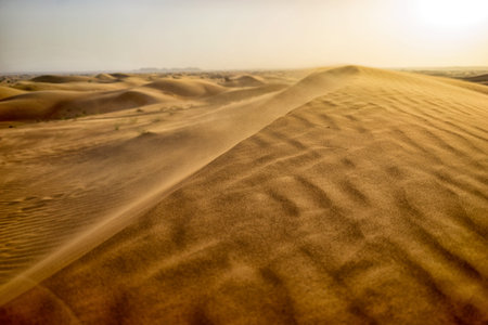 Yellow desert sands stretching to the horizon. The high dunes in rays of sunset.の写真素材