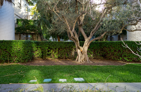 Palo Alto, CA, USA - March, 2016: Stanford University Campus in Palo Alto, Californiaのeditorial素材