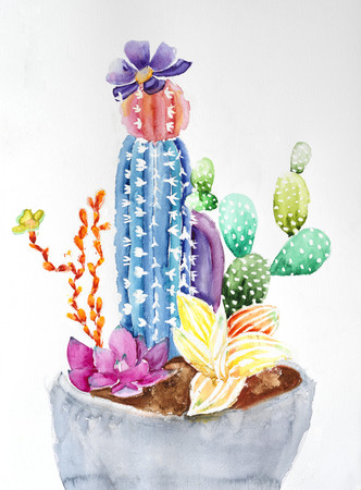 Watercolor illustration of blossom cactusesの写真素材
