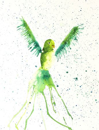 Watercolor painting of parrot. Handmadeの写真素材