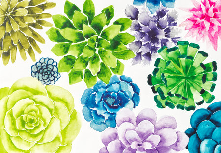 Hand drawn tropical pattern with succulentsの写真素材