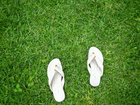 Relaxing time. Walking on the green grass.の素材