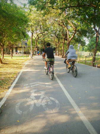 People riding bicycle in a park.の素材