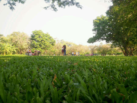 People at a park in summer in spring time.の素材
