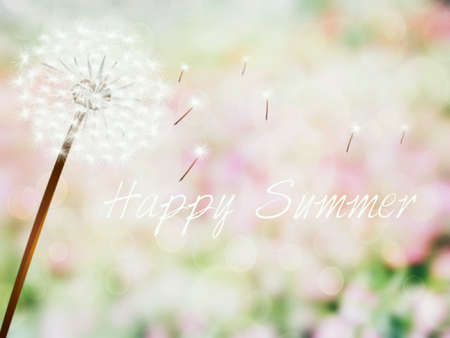 Summer season blur bokeh backgroundの素材