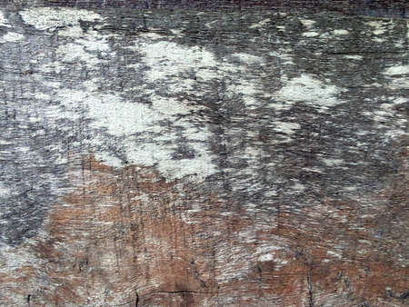 grunge wood texture backgroundの写真素材