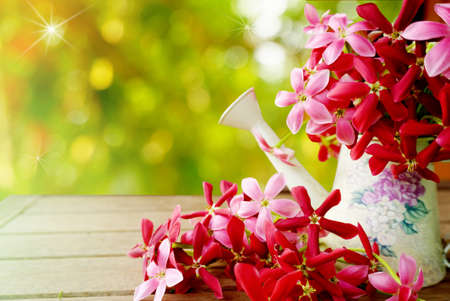 pink and red flower in glass wooden table, empty space for text in soft pastel tone of bokeh ,nature spring and summer backgroundの写真素材
