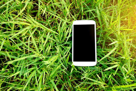 mobile phone on nature green grass background, technology conceptの写真素材