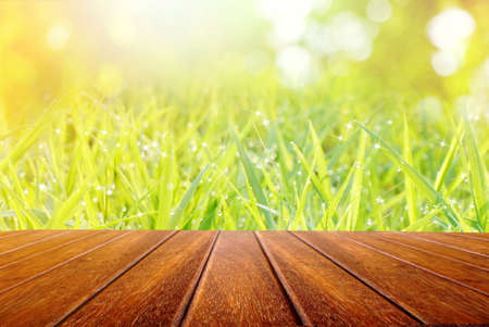 wooden table perspective on nature field of green grass texture in the morning, spring and summer backgroundの写真素材