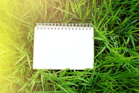 blank paper calendar page on nature field of green grass with sunlight morning backgroundの写真素材