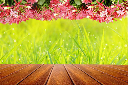 pink flower with perspective empty wooden table on nature field of green grass, spring or summer backgroundの写真素材