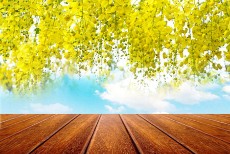 empty wooden for advertising board on blue sky with beautiful spring yellow flower backgroundの写真素材