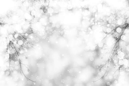 winter landscape with white tree and snow bokeh backgroundの写真素材