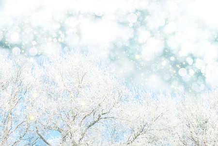 winter landscape with white tree and snow bokeh backgroundの写真素材