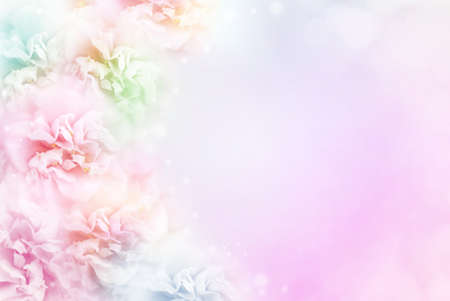 roses flower frame in pastel tone with copy spaceの写真素材